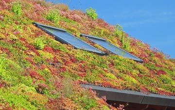 St Katharines living roof systems