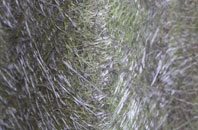 St Katharines fibreglass roof work